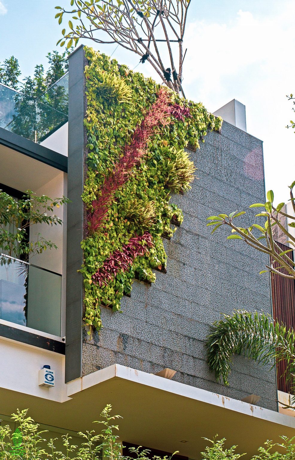 outdoor facade green wall home landed property singapore