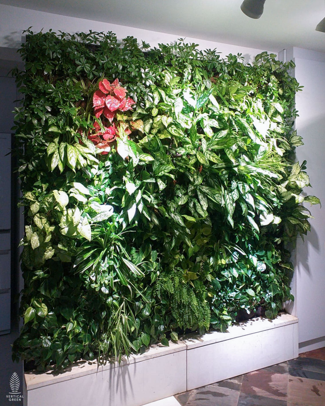 Double Standalone green wall in home singapore