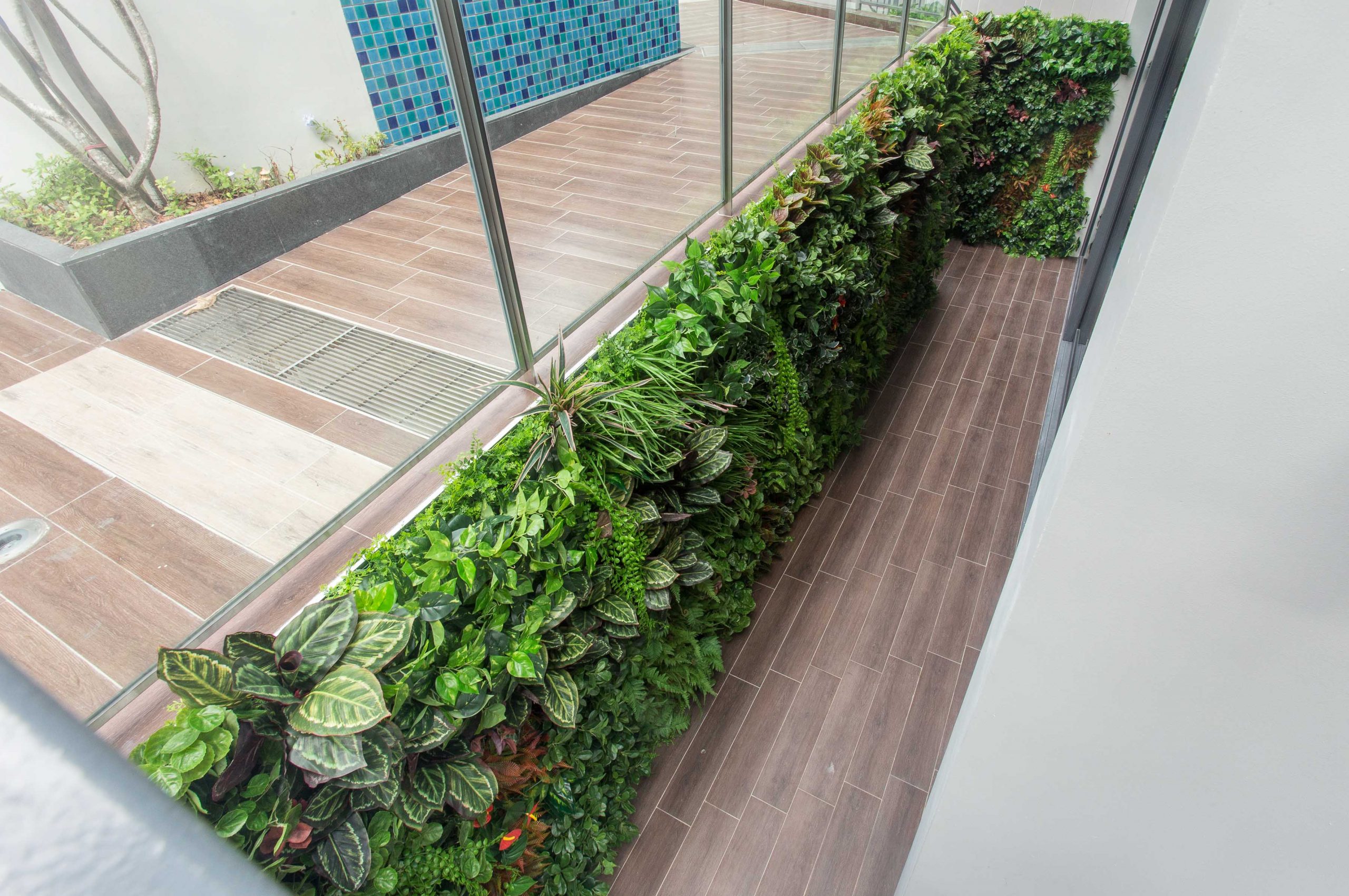 Chancery - Vertical Green Pte Ltd