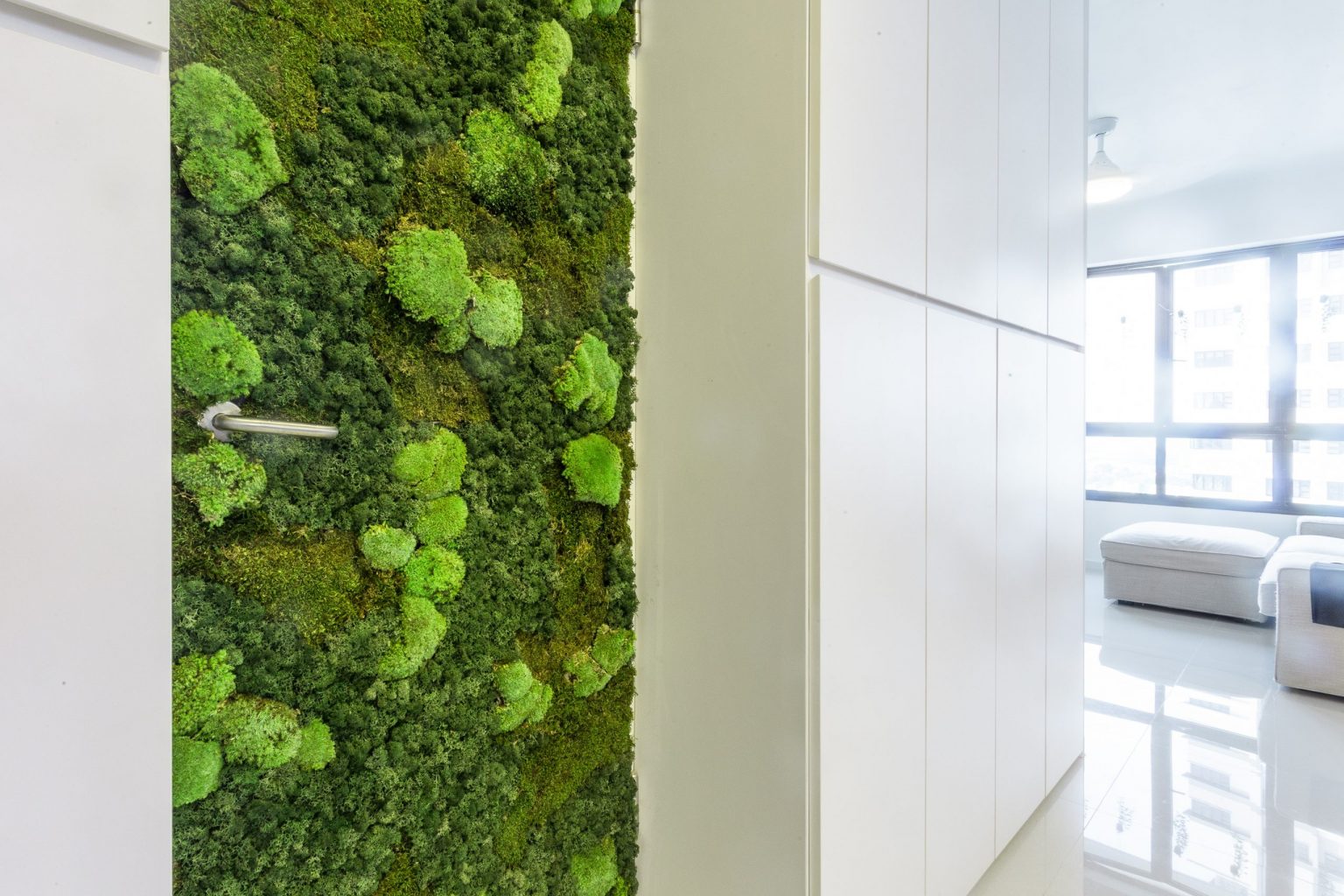 moss wall in home singapore bomb shelter