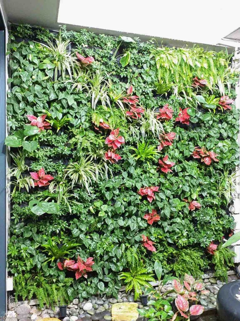 Cowdray Green Wall Airwell Singapore Homes
