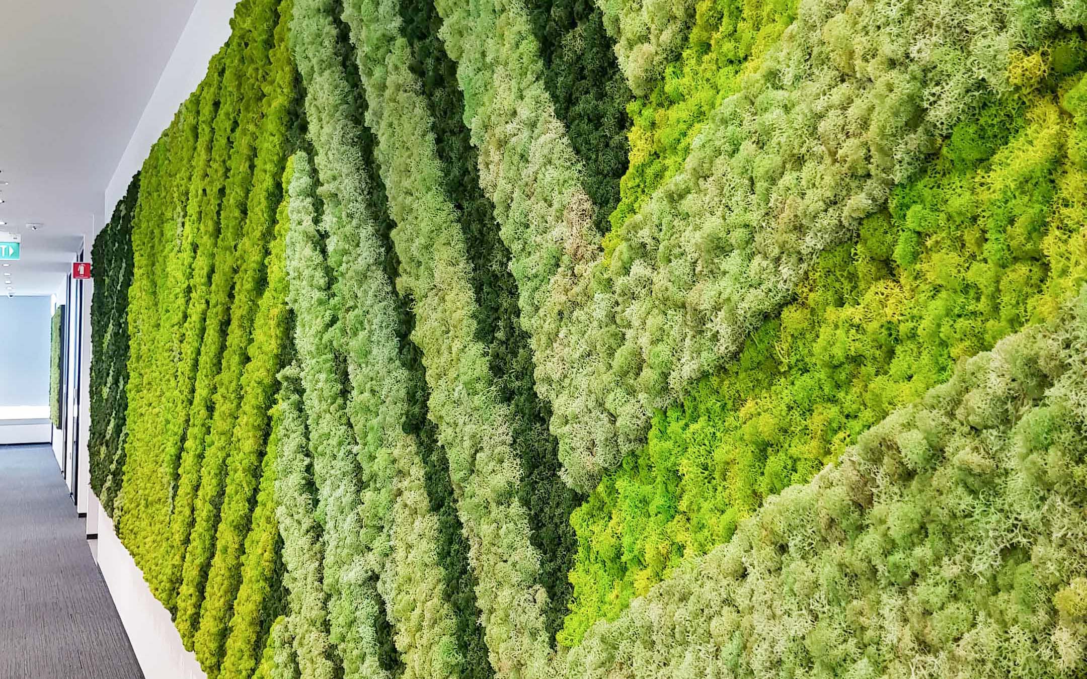 Huawei Moss Wall, Acoustic panels Singapore