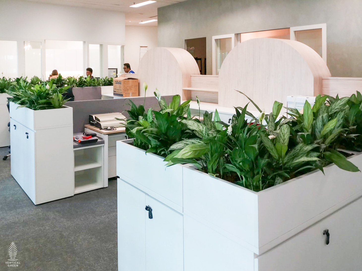 Wikborg Rein Rental Potted Plants Office Singapore Vertical Green