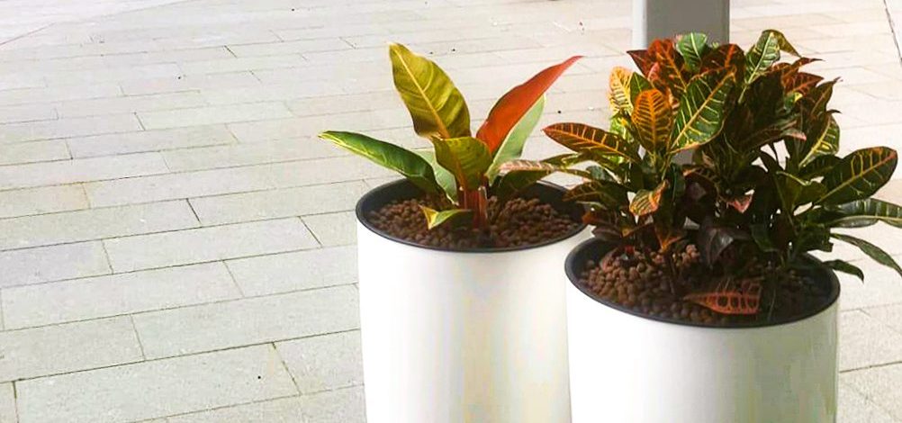 P&G 70 biopolis st-hygropot-walkway-tall pot-hanging pot-live plants (1)
