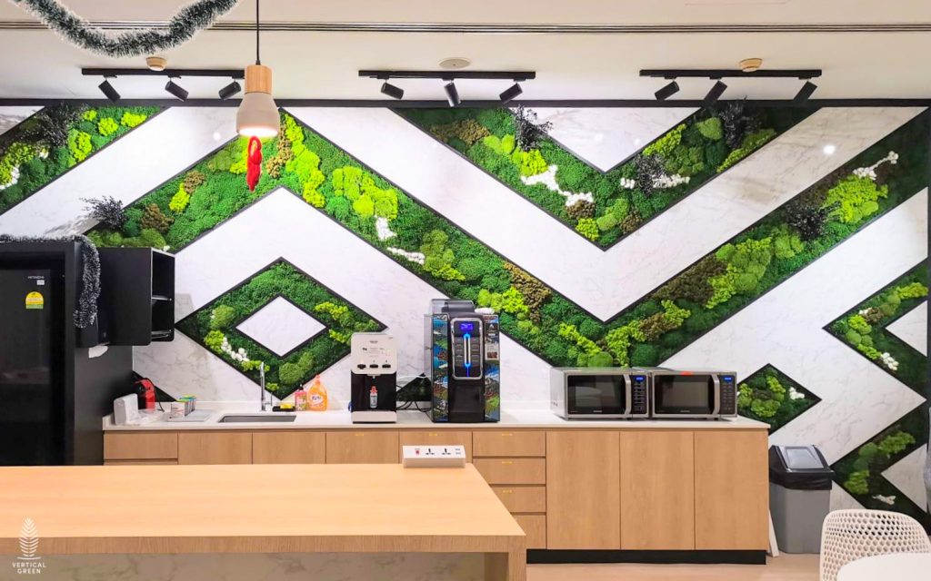 wall designed with preserved flat moss