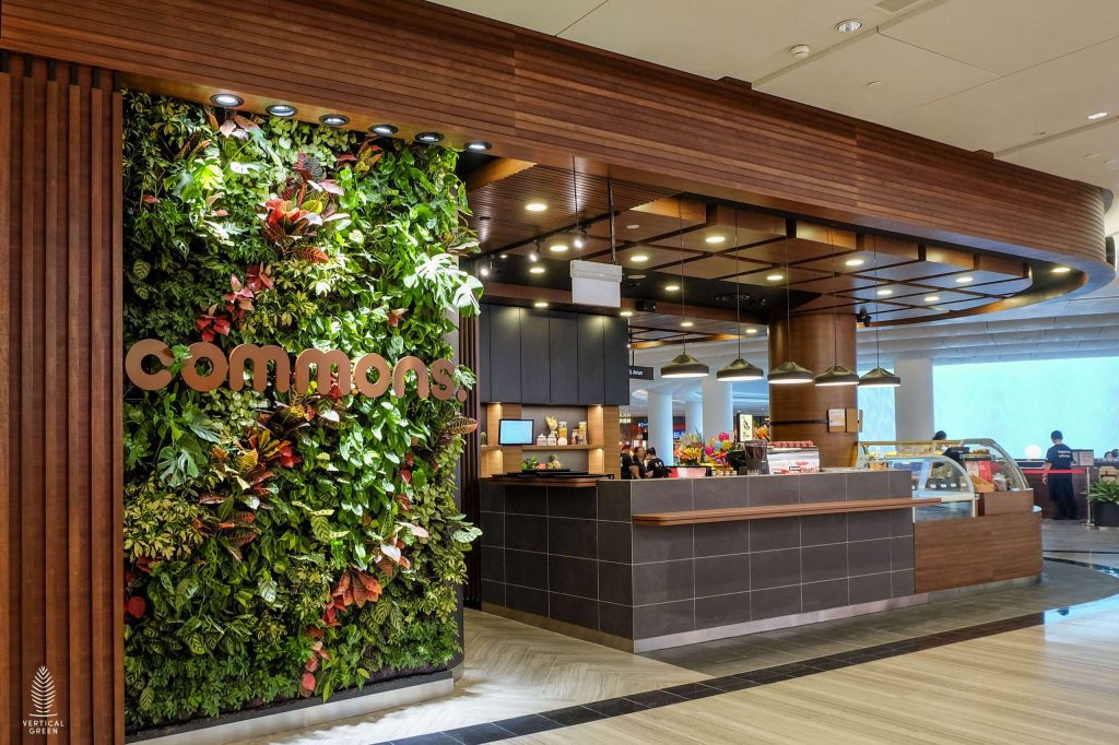 Commons biophilic green wall