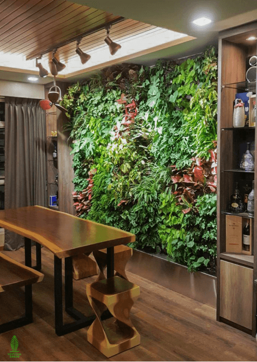 Sumang Link green wall