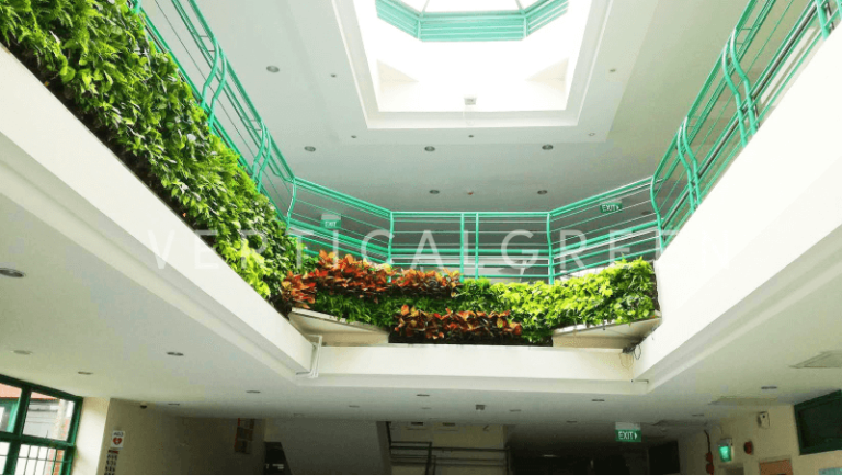 biophilia in healthcare