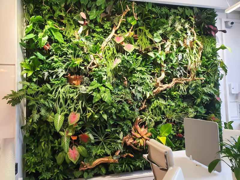 HyGro™Wall V: A New Level of Biophilic Design - Vertical Green Pte Ltd
