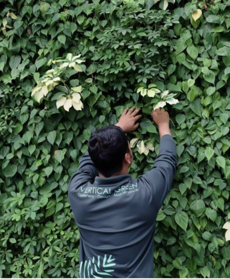Vertical Green To The Rescue ๐๐ - Vertical Green Pte Ltd