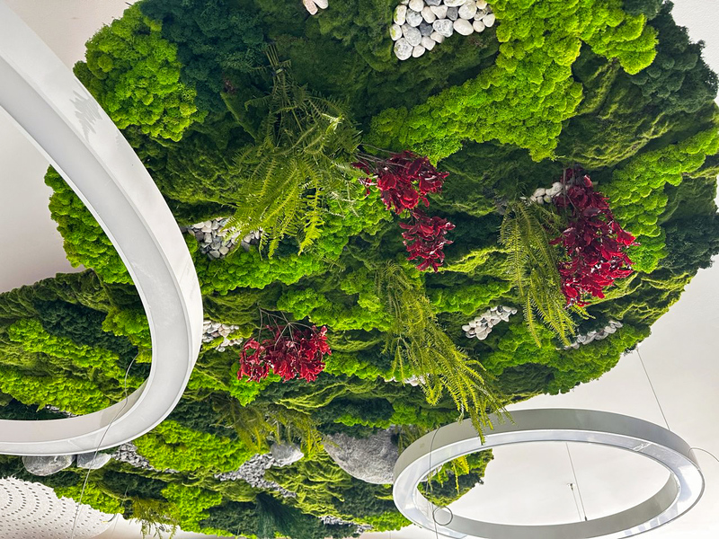 4 Simple Reasons Why Acoustic Panels Shine!