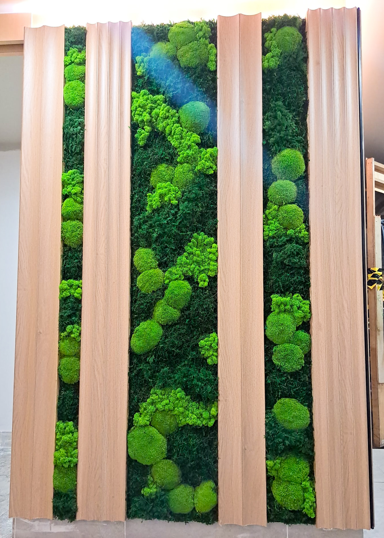 Commercial moss walls installation Indoor moss walls for office decor Sustainable moss wall systems for businesses Biophilic design with moss walls in commercial spaces Custom moss walls for corporate environments Commercial-grade moss wall panels Office lobby moss wall designs Maintenance-free moss walls for businesses Sound-absorbing moss walls for offices Corporate branding with moss walls