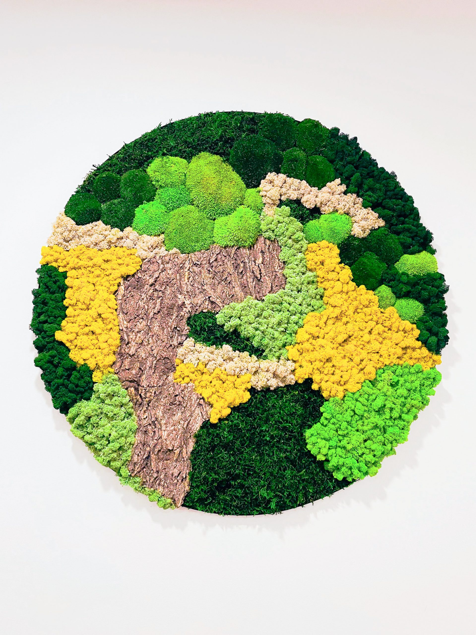 Commercial moss walls installation Indoor moss walls for office decor Sustainable moss wall systems for businesses Biophilic design with moss walls in commercial spaces Custom moss walls for corporate environments Commercial-grade moss wall panels Office lobby moss wall designs Maintenance-free moss walls for businesses Sound-absorbing moss walls for offices Corporate branding with moss walls