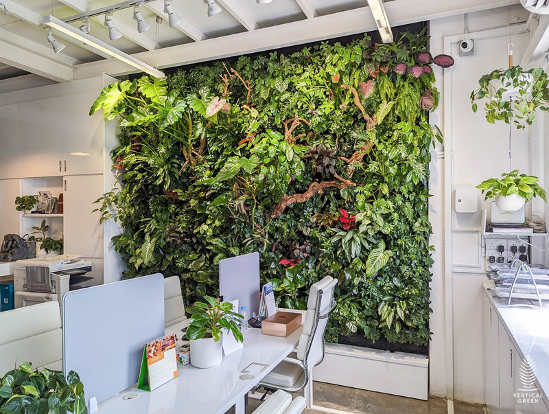 The Low-Maintenance Solution to Green Walls: 5 Reasons Why Hygro™Wall is Your Best Choice