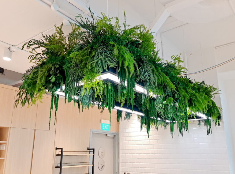 Preserved Plant Singapore Preserved Moss Green Wall Singapore