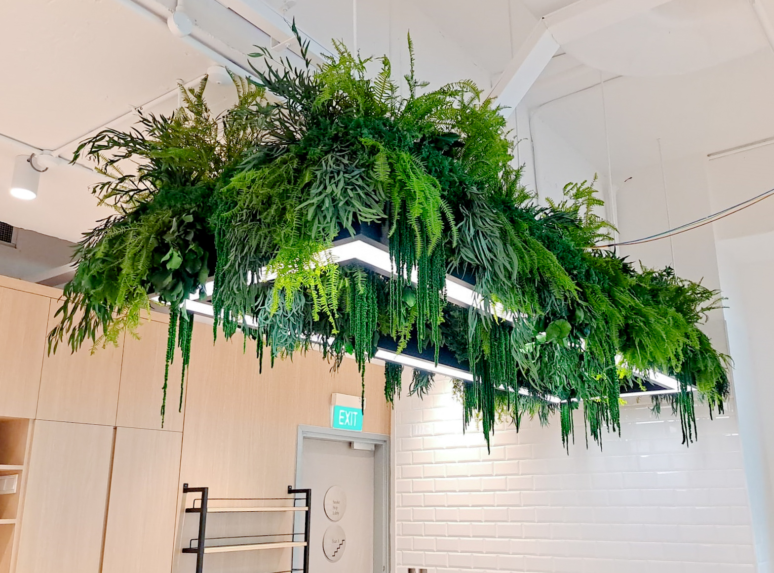 Preserved Plant Singapore Preserved Moss Green Wall Singapore
