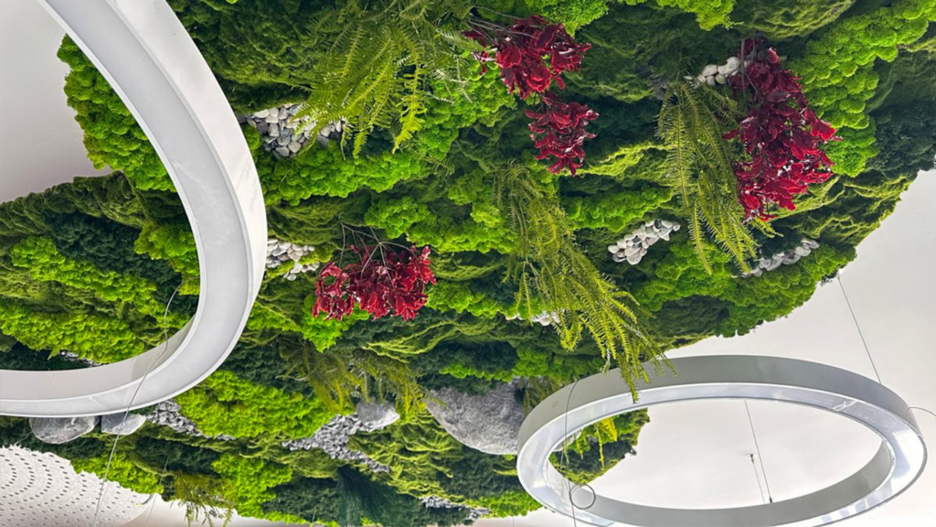 Preserved Moss Green Wall Singapore
