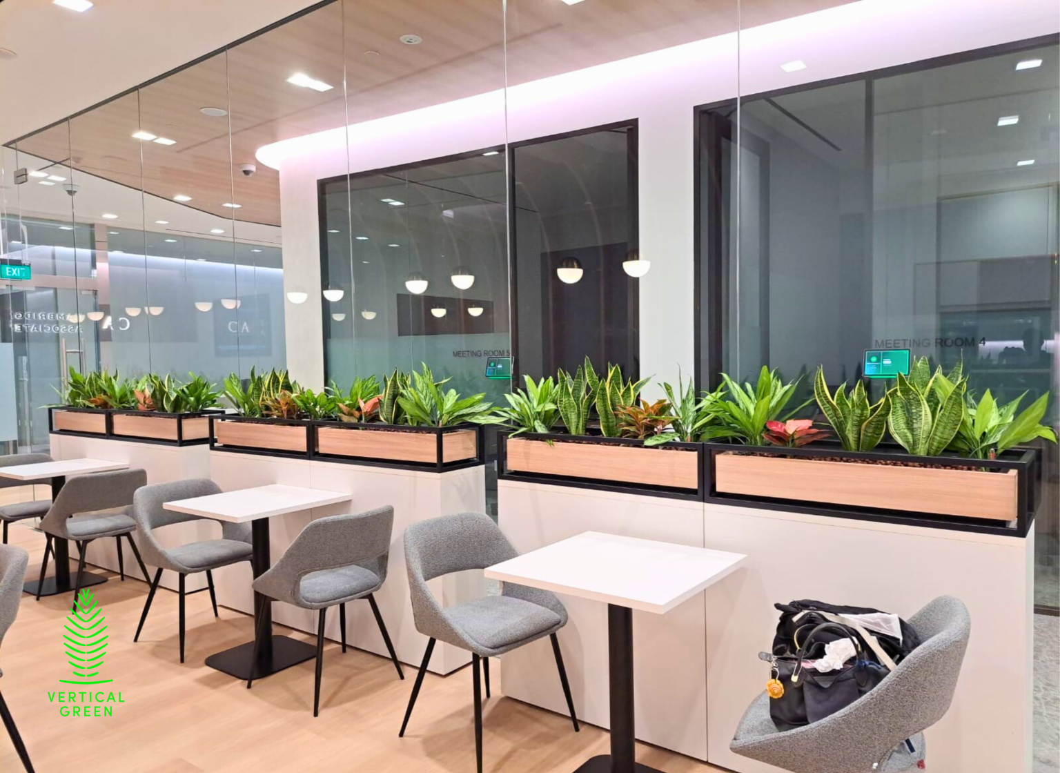 Potted Plants Singapore Office Plants Singapore Live Plants Singapore