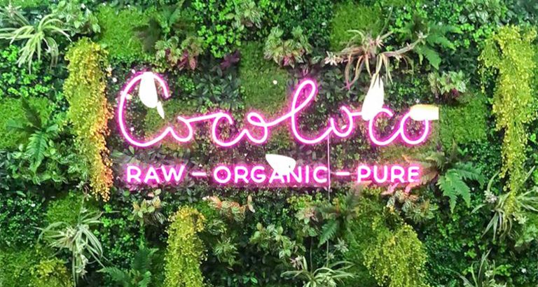 Artificial Green Wall