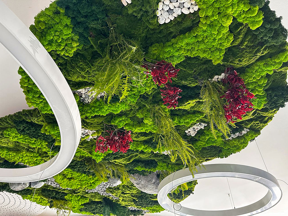 Preserved  to perfection