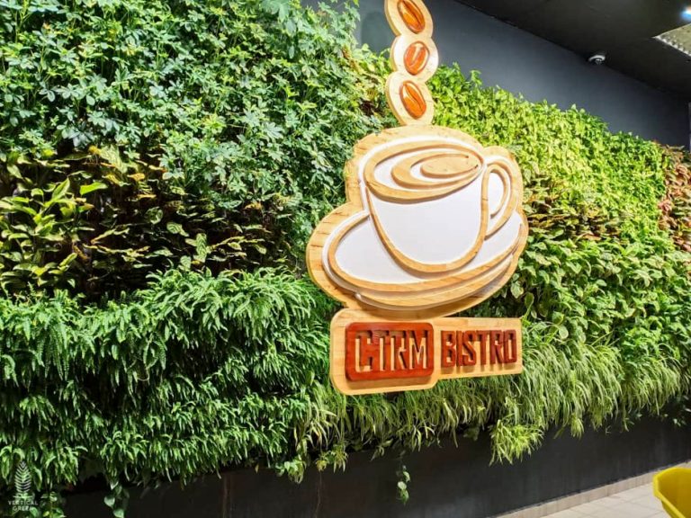 HyGro®Wall Archives - Vertical Green Pte Ltd