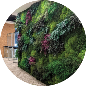 Moss Wall Preserved Wall Singapore Malaysia Philippines Office Design Interior Design Vertical Green