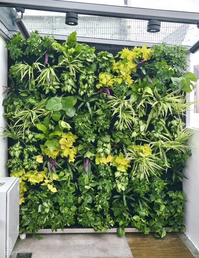 Jade Residences 165 Woodlands Live Green Wall Singapore Malaysia Philippines Interior Design Home Design