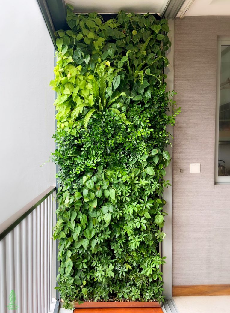 Telok Kurau Live Green Wall Singapore Malaysia Philippines Interior Design Home Design