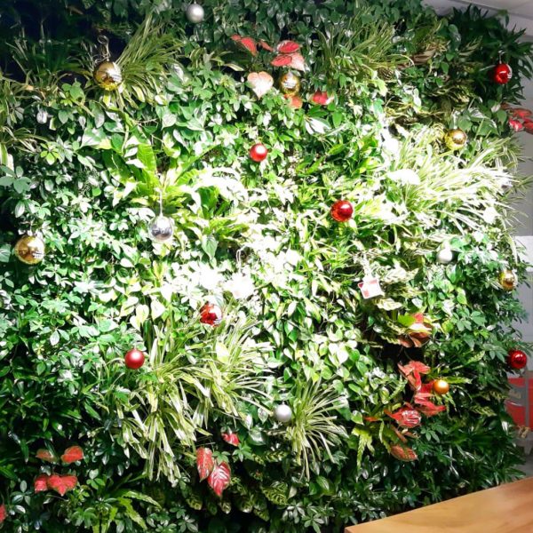 Christmas ornament decoration on green wall office Singapore
